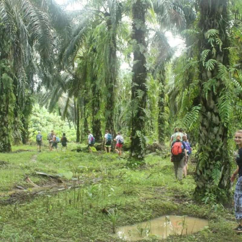 ARCC Bali & Sumatra: Operation Orangutan | Teen Summer Service & Volunteer Program