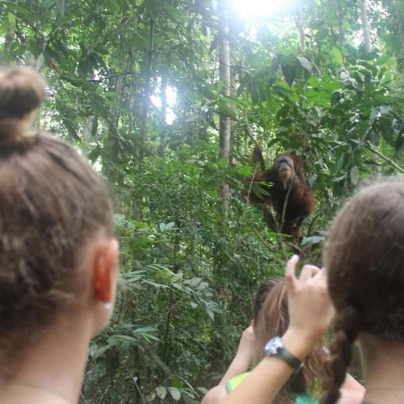 ARCC Bali & Sumatra: Operation Orangutan | Teen Summer Service & Volunteer Program