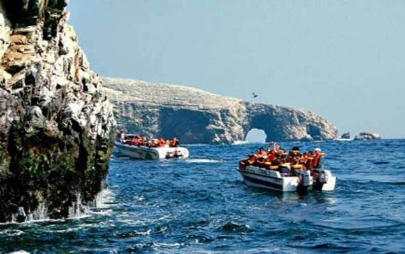 Boat excursion to Peru's Ballestas Islands
