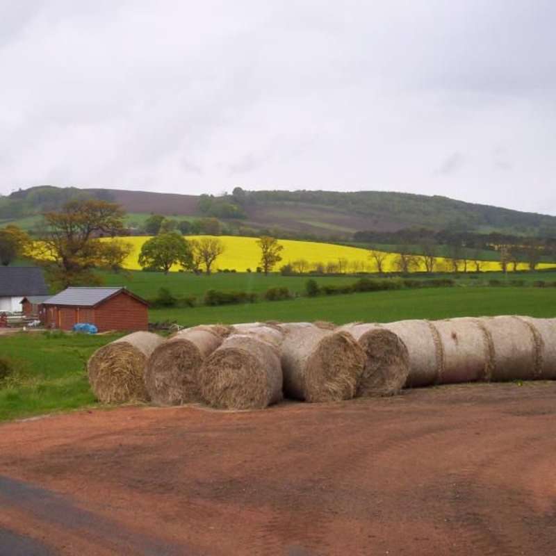 Beautiful Edinburgh countryside, home to student agricultural business observation programs.