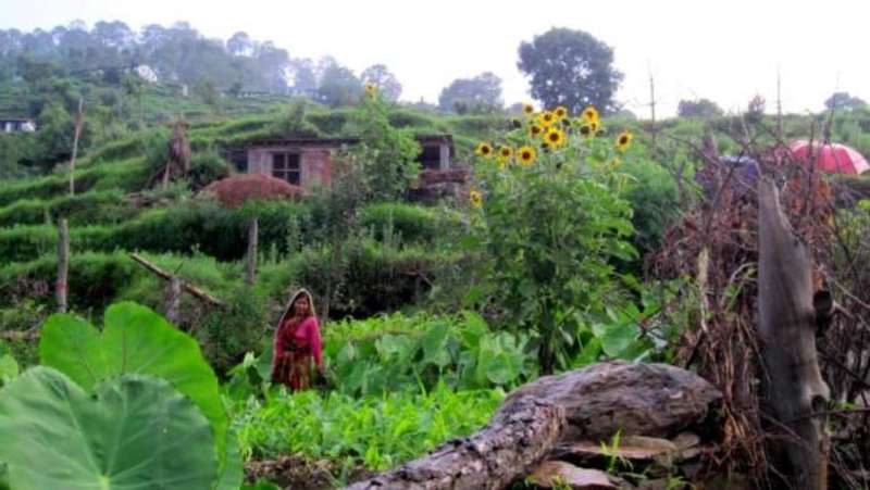 SIT Study Abroad: India: Traditional Medicine & Health — photo 1