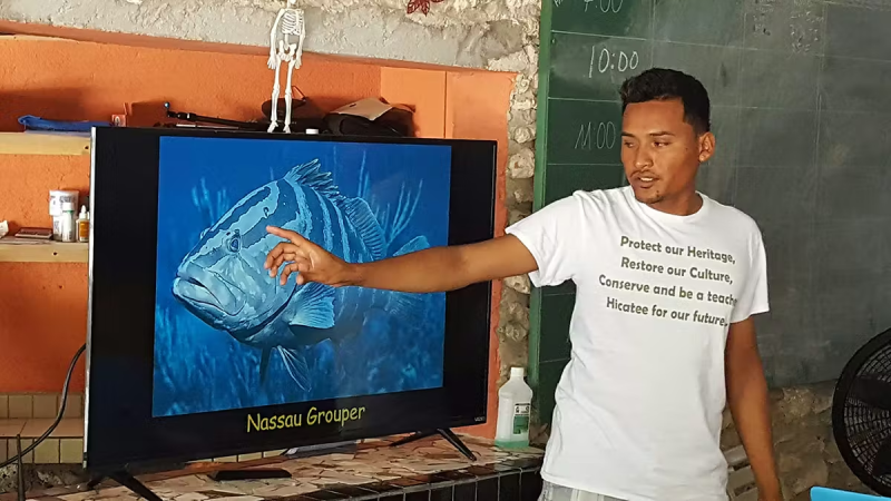 Belize Local Teaching IVHQ Volunteers about Local Marine Life