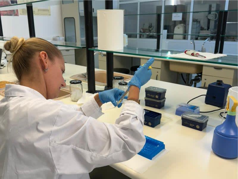 Bio-Engineering