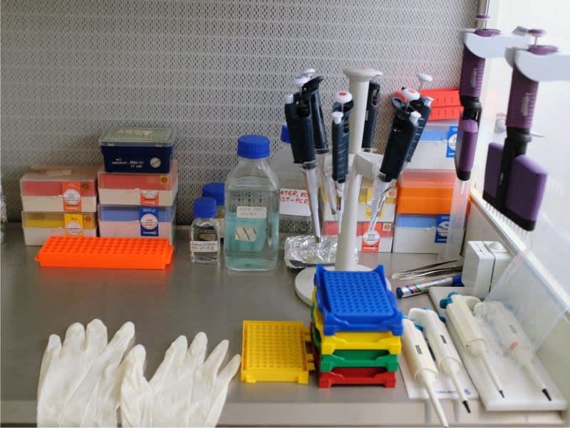 Bio-Engineering