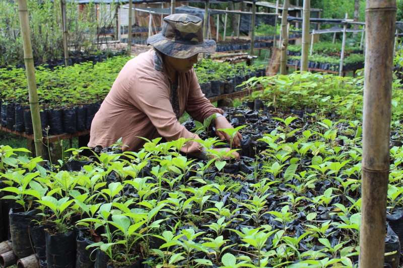 Biodiversity Conservation Internship in Brazil