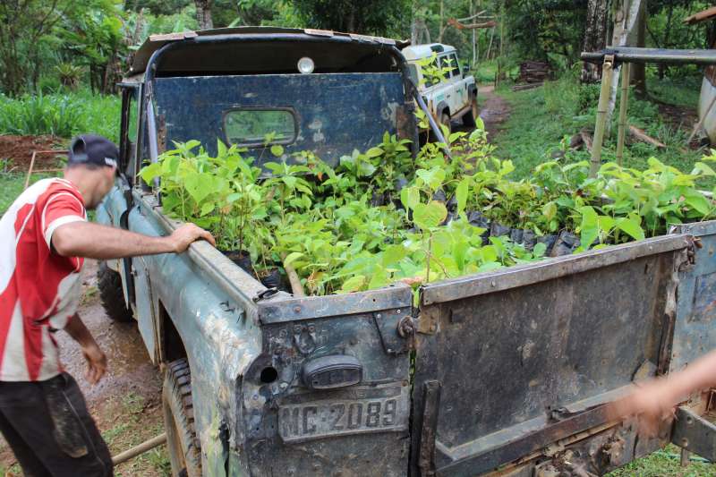 Biodiversity Conservation Internship in Brazil