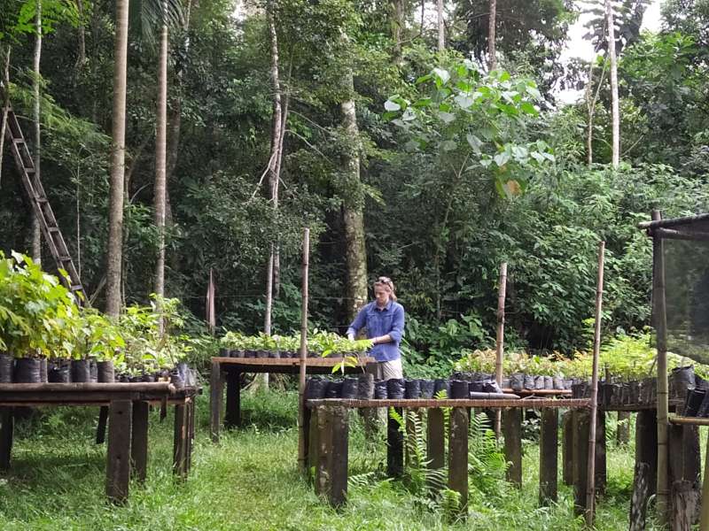 Biodiversity Conservation Volunteer in Brazil