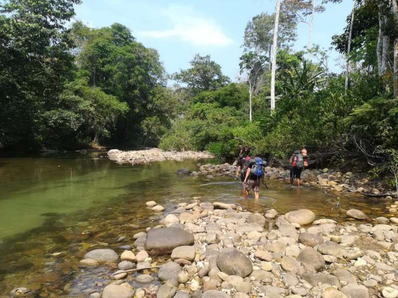Biology Research Internship in Peru