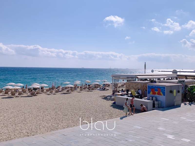 Blau Surrounding
