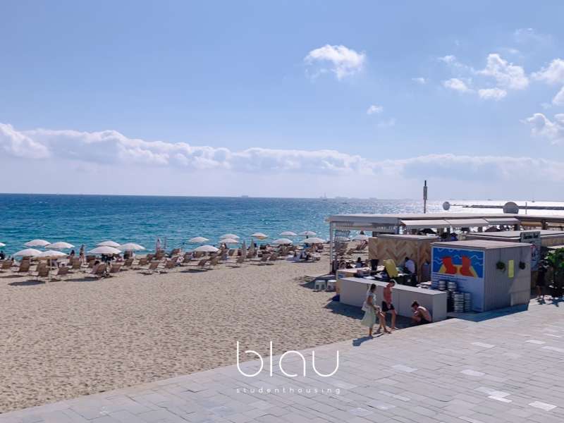 Blau Surrounding