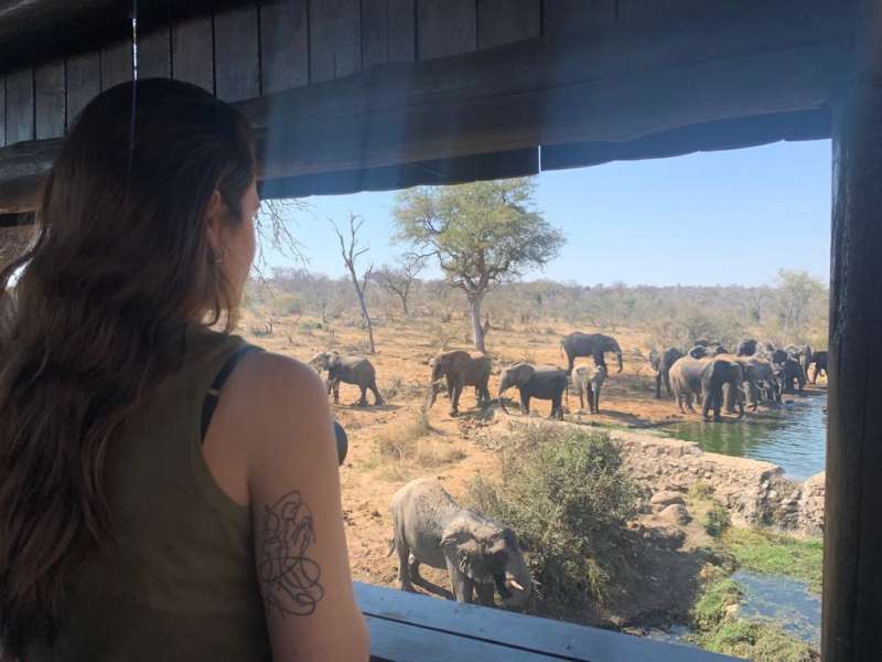 BSc Level Conservation Research Internship in South Africa