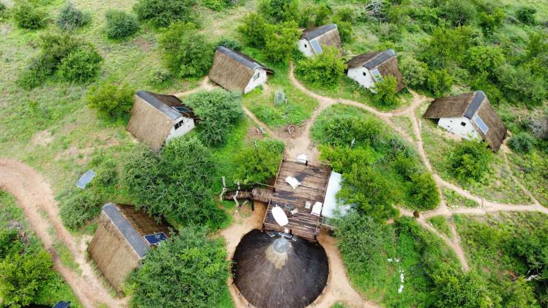 BSc Level Conservation Research Internship in South Africa