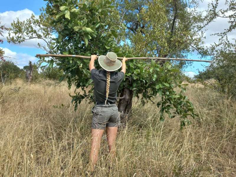 BSc Level Conservation Research Internship in South Africa