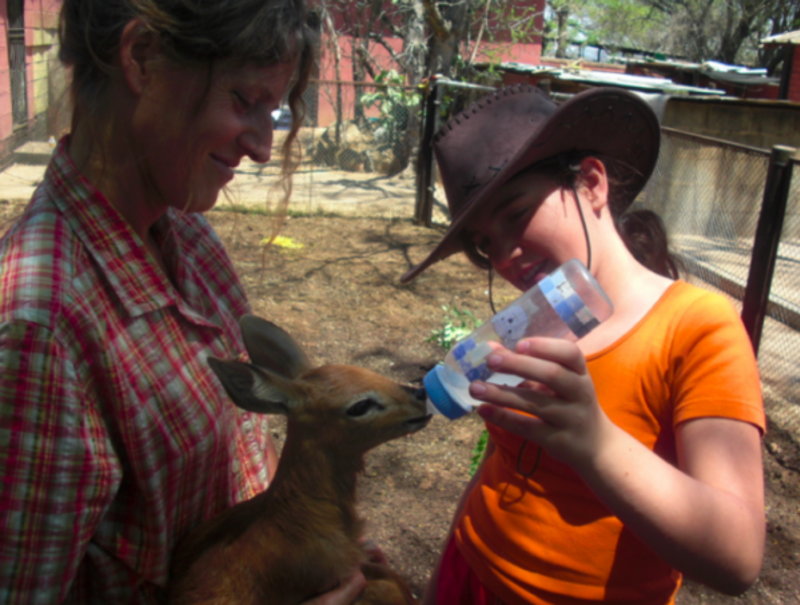 Wildlife Orphanage and Rescue Sanctuary in Zimbabwe — photo 3