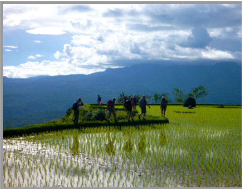 Indonesia Semester: Community & Conservation (Gap Year) — photo 2