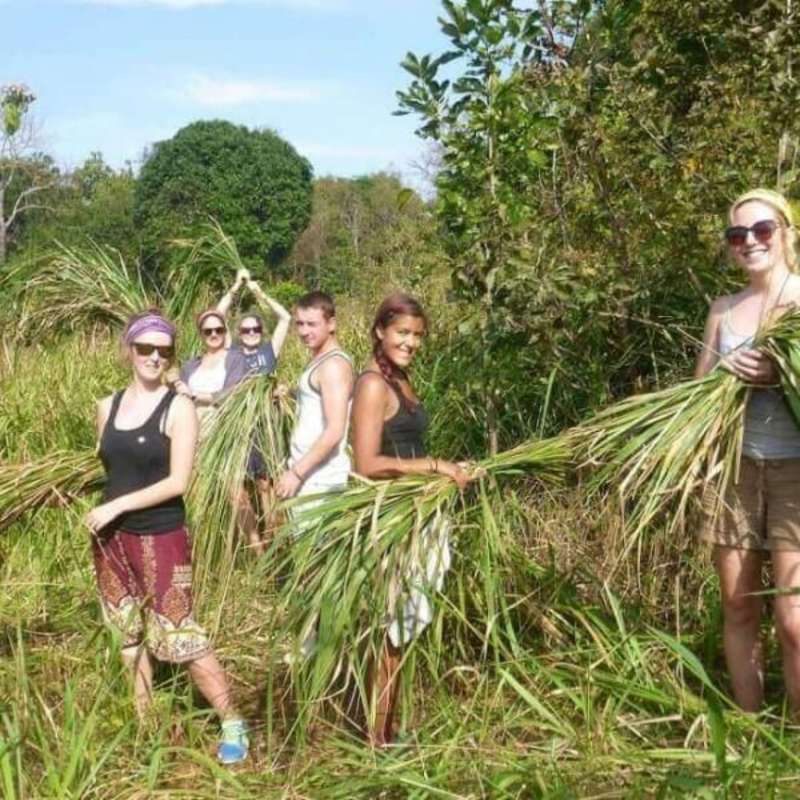 GoEco Cambodia - Elephant Sanctuary & Forest Conservation