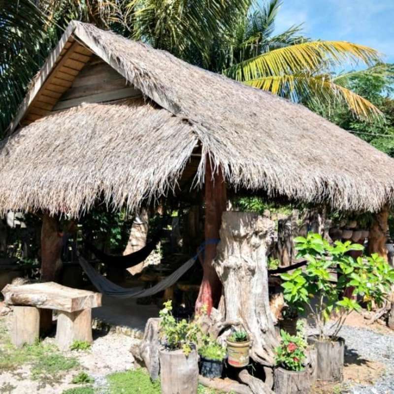 GoEco Cambodia - Temple Preservation