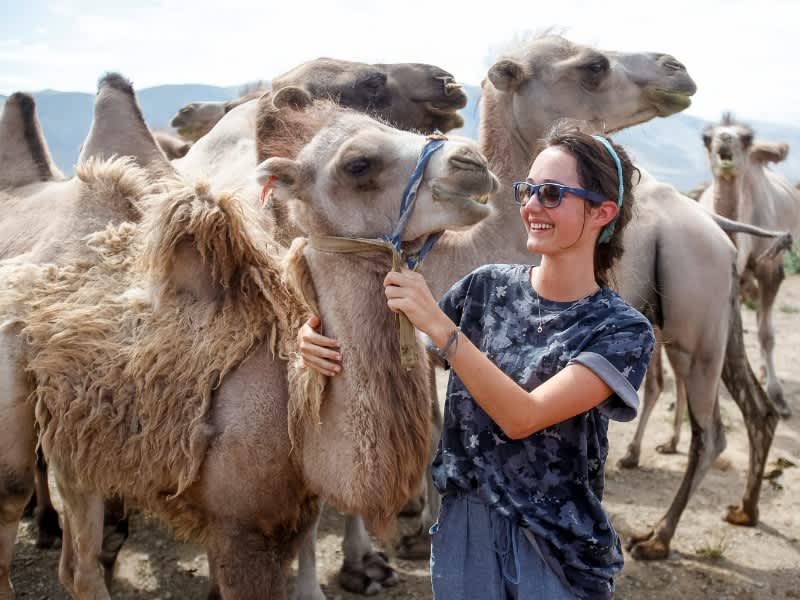Camels