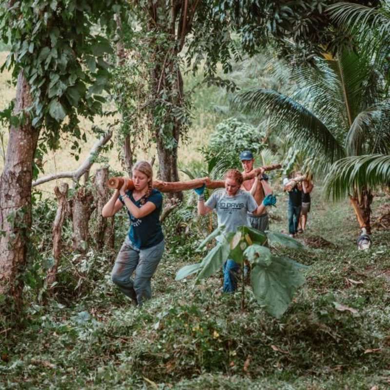 Logging in Central America