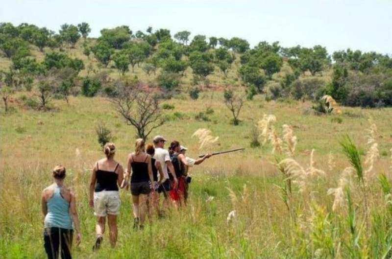 South Africa - Kevin Richardson Wildlife Sanctuary — photo 3