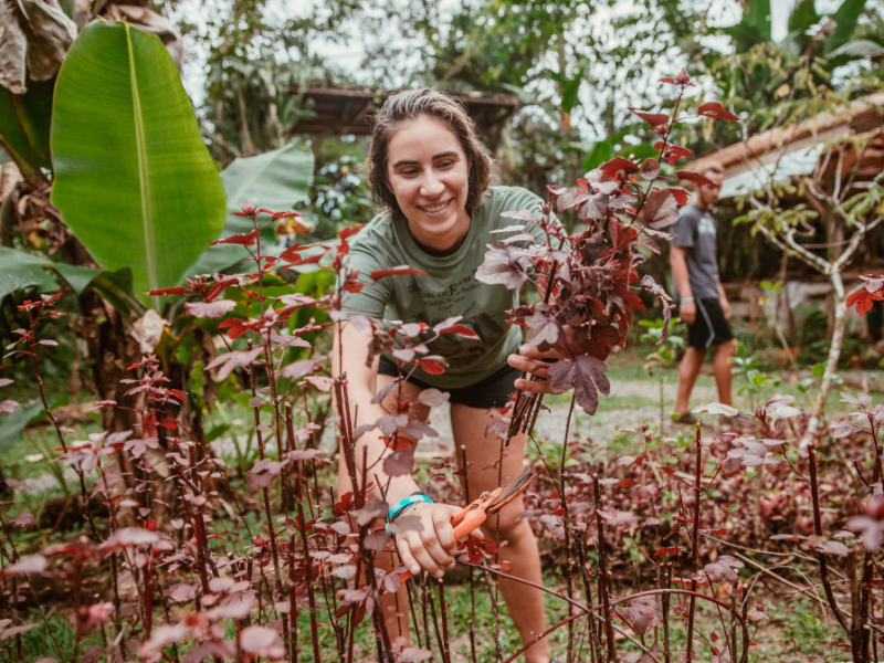 Central America Gap Semester | Pacific Discovery