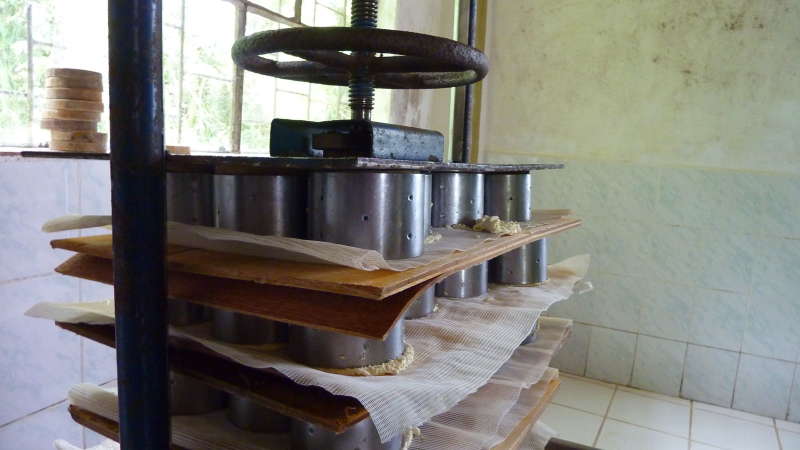 cheese making