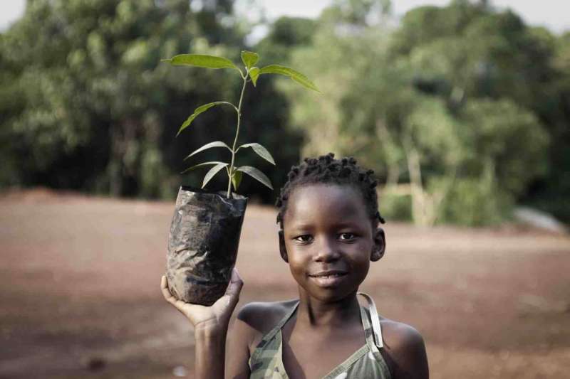 Child with a small tree