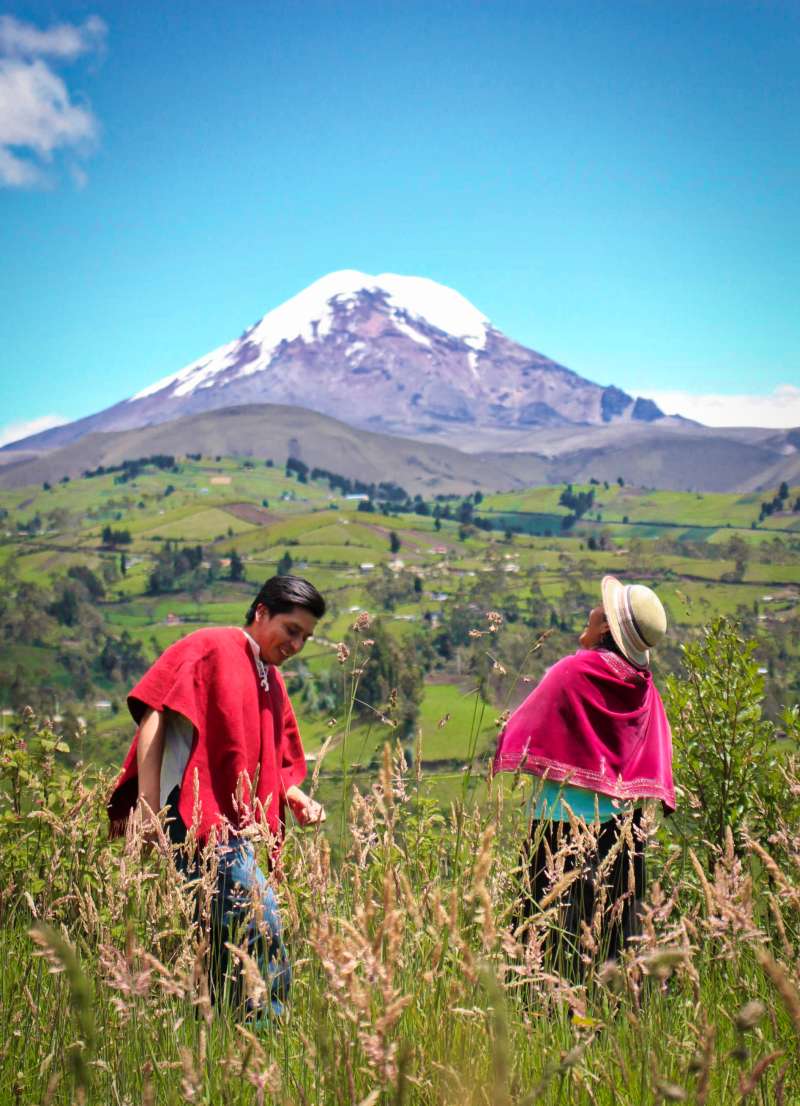Chimborazo 