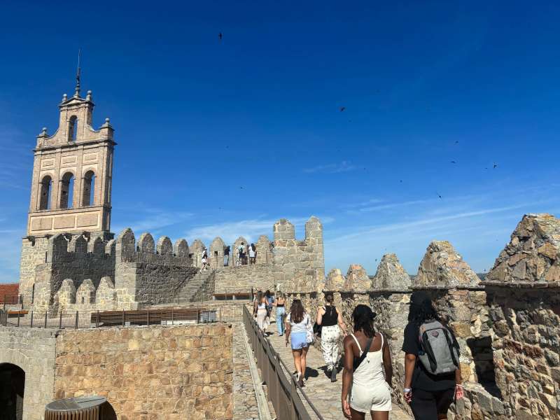 City Tours