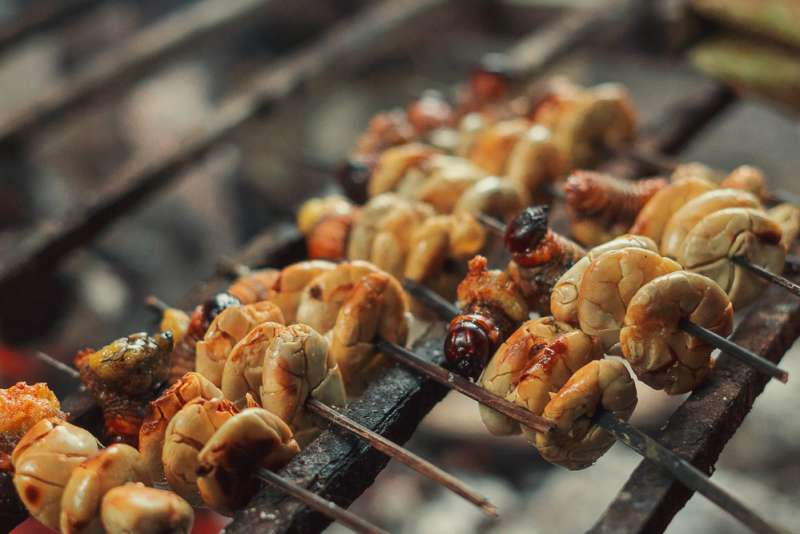 Close up of skewers of nuts and grubs roasting over a grill.