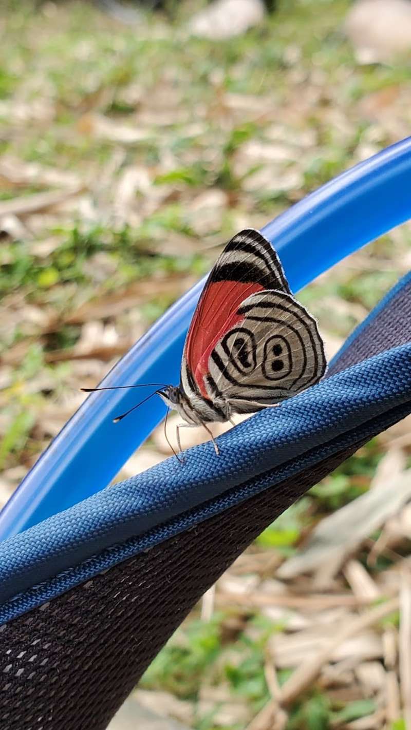 Cloud Forest Conservation Volunteering