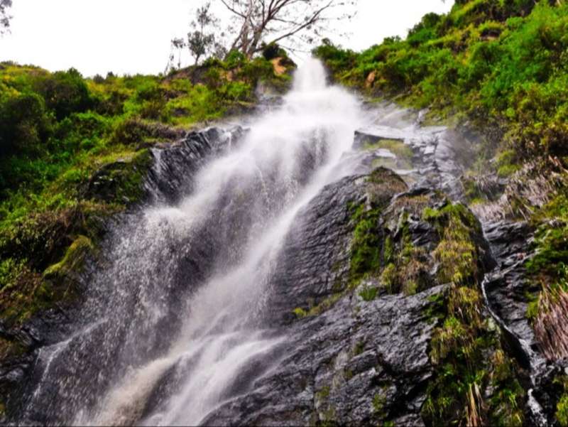 cloud-forest-waterfall-bolivar-ecuador
