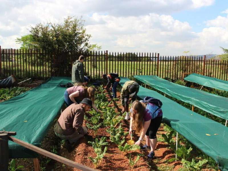 Community Engagement in Cape Town