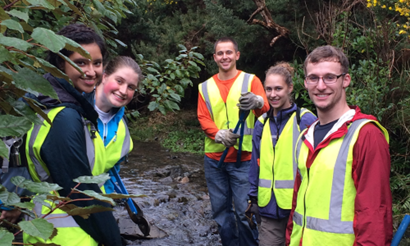 Conservation in New Zealand 