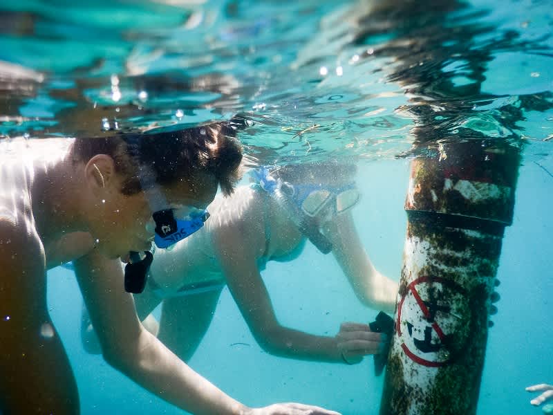 conservation of marine ecosystems