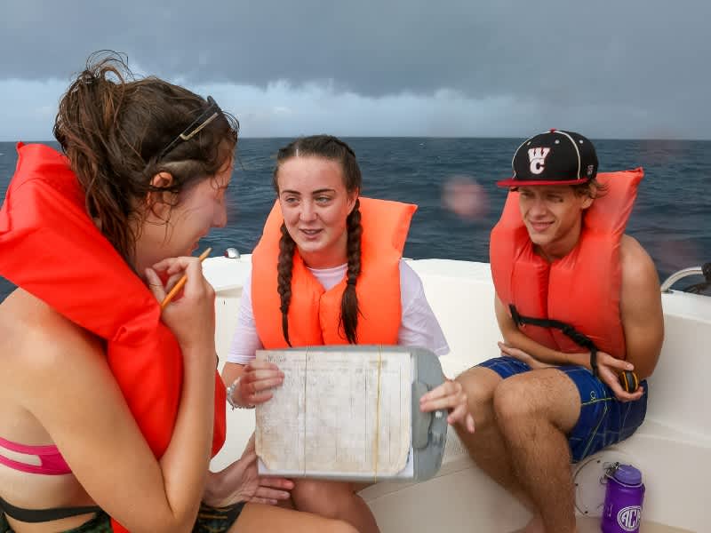 conservation of marine ecosystems
