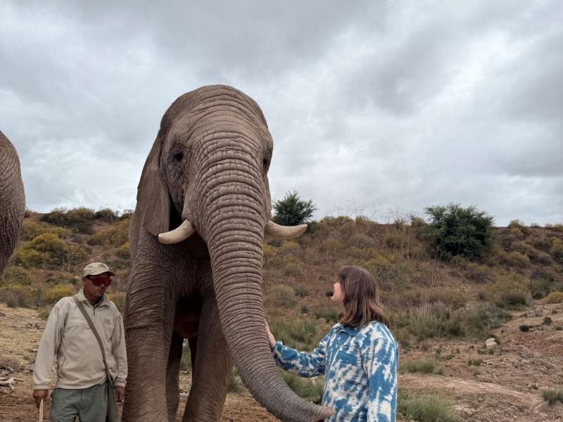 Conservation