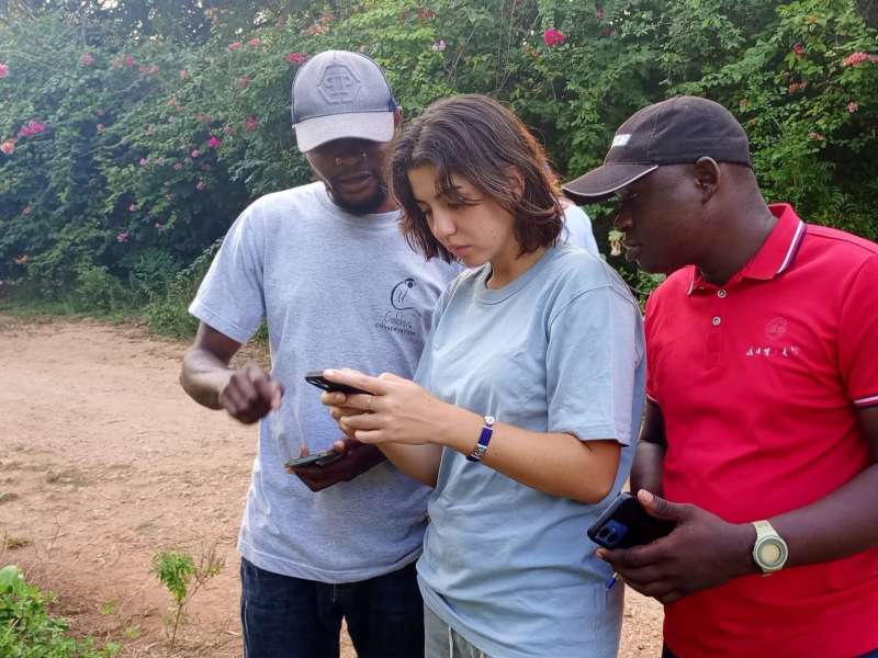 consulting during volunteer session