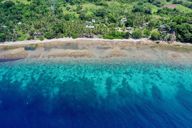 Coral reef