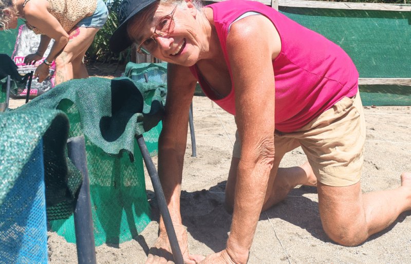 Costa Rica – Family-Friendly Sea Turtle & Nature Conservation