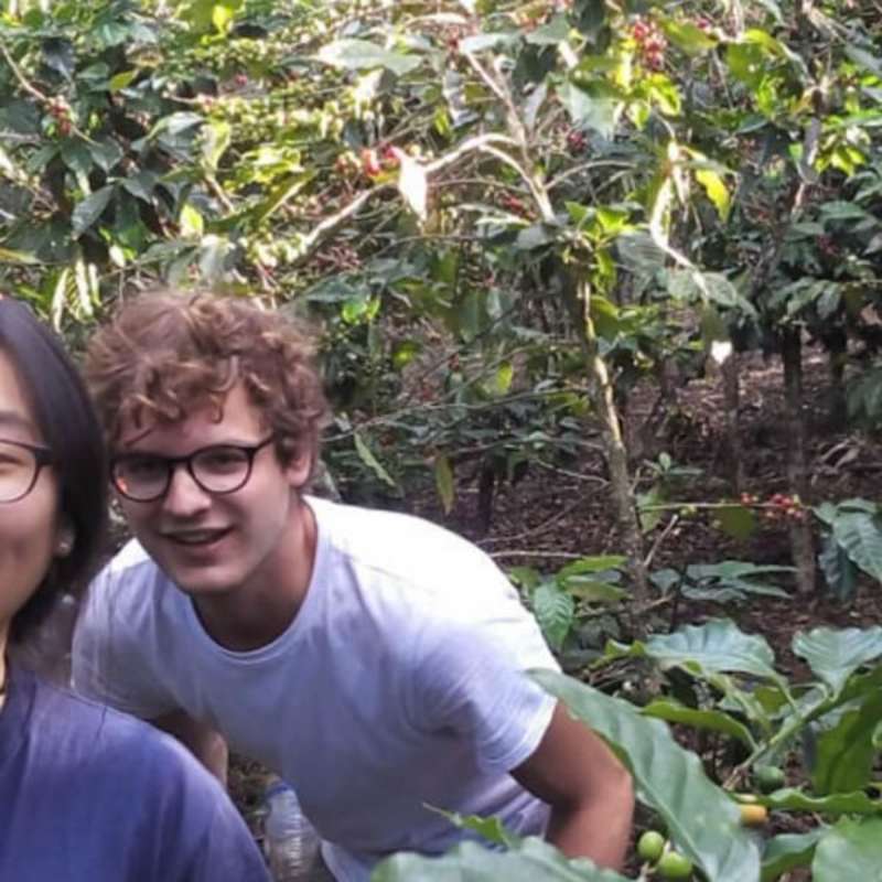 GoEco Costa Rica - Sustainable Organic Coffee Farming