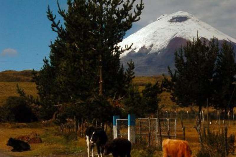 cotopaxi