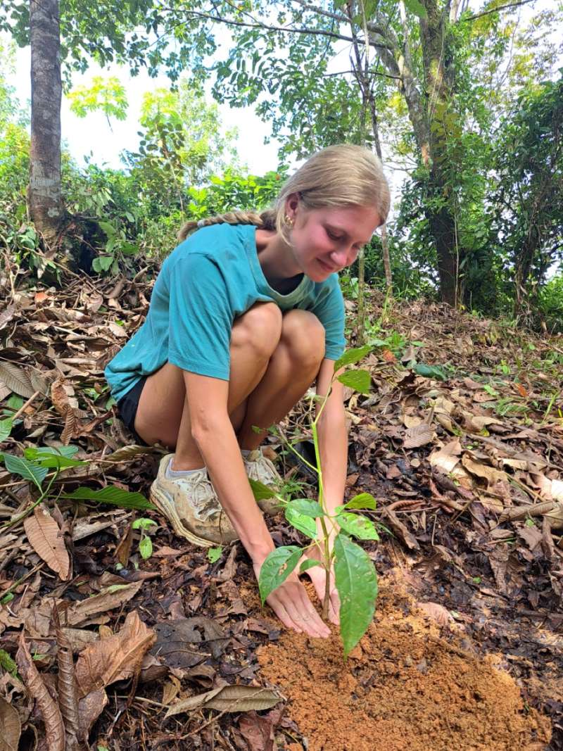 CR Planting Trees