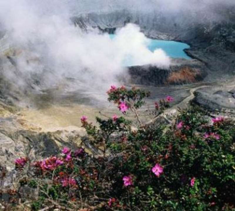 Crater amidst lush greenery.