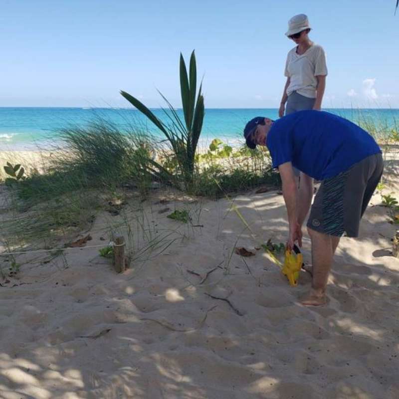Volunteer in Puerto Rico with IVHQ