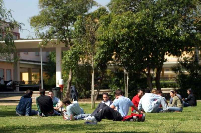 Universidad Pablo de Olavide — photo 17
