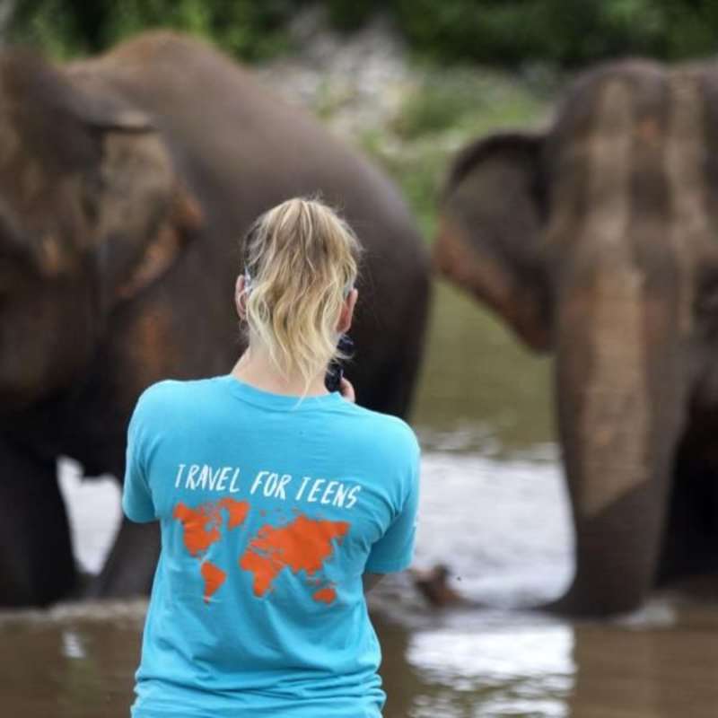 teenage girl taking a photo of elephants thailand