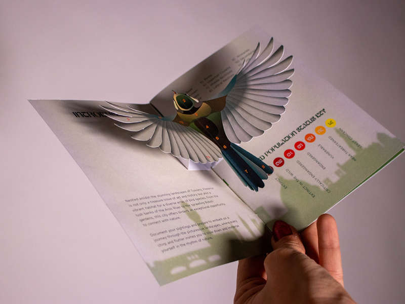 Digital Illustration and Graphic Design
