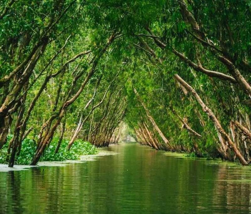 Ecotourism internships