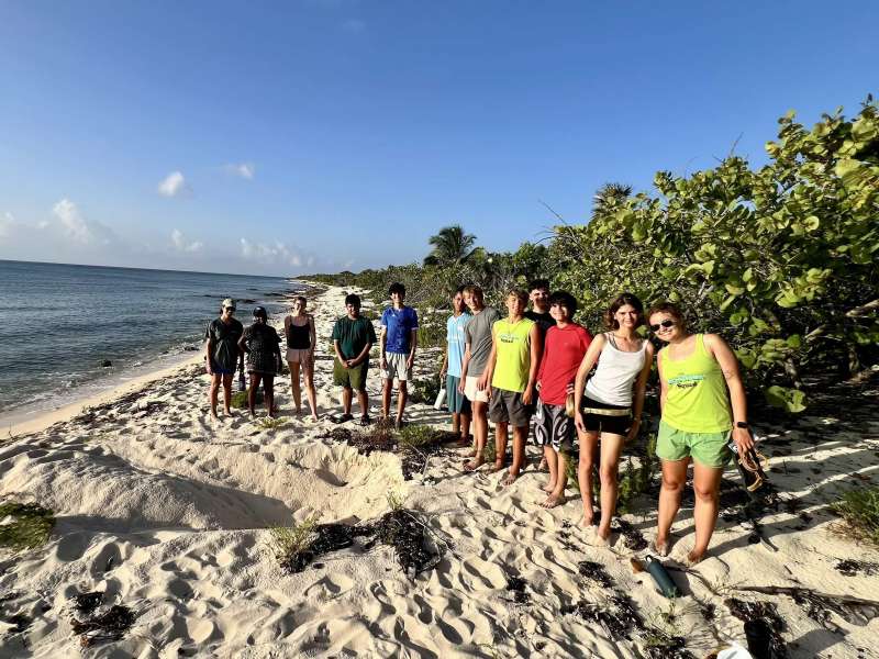 Discovering a turtle nest on the beach